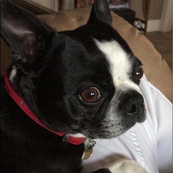 ❤️❤️ ❤️❤️ - Picture 10 of 16